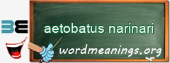 WordMeaning blackboard for aetobatus narinari